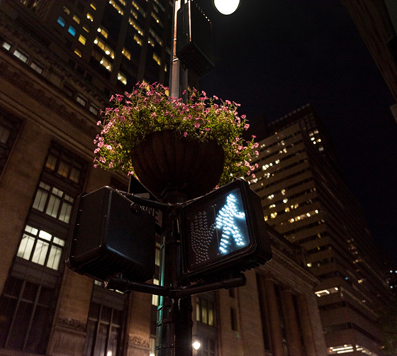 semaforo para peatones